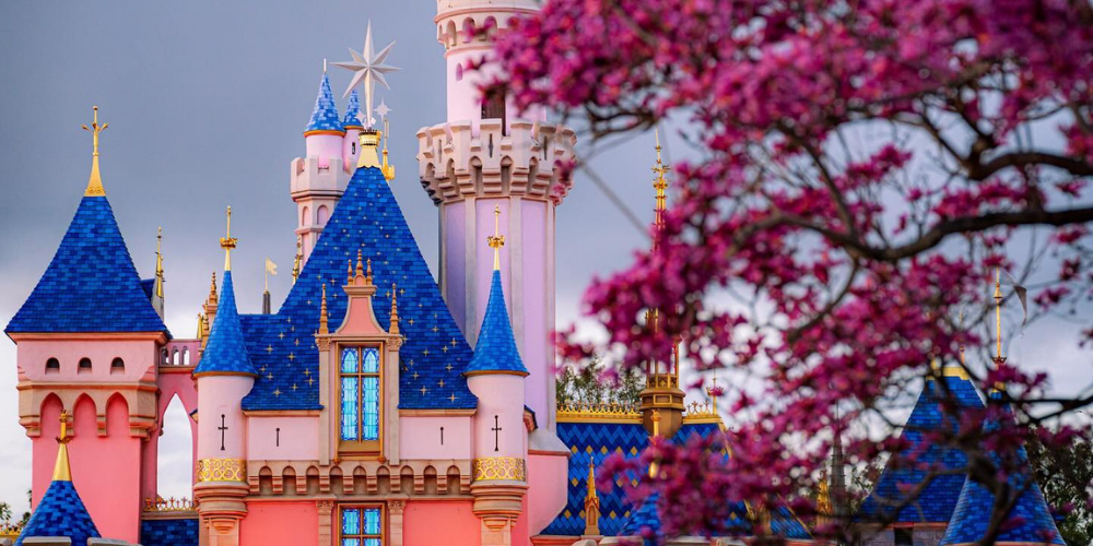 How Much Money Does Disneyland Make in a Day